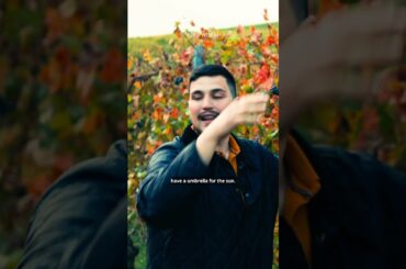 From the film – THREE DAYS IN PIEDMONT – Four secrets