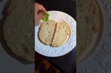 Tomato Caprese Sandwich Tutorial (MY FIRST VEGETARIAN DISH)
