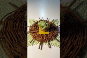 Tenerumi | Vulcano, Italy #umamiholic #shorts #food #foodie