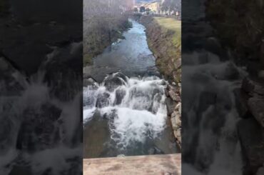 Italy #celebration #food #viralmusic #foodie #youtube #duckybhai #duckybhaivlogs