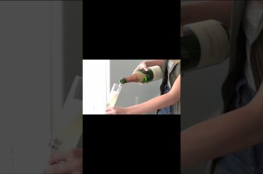 KLOVEO Champagne Stoppers