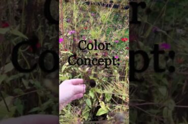 Painting Color Concept: Lavender -Magenta/Mocha-Brown/Orange-Red