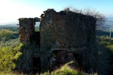 Historic Organic Wine & Olive Estate with Boutique Hotel Project – Tuscany, Italy