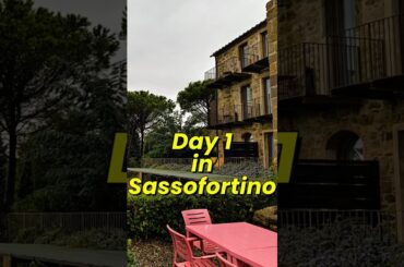 Italian Vineyard Valdonica, Sassofortino - DAY 1 !!!🙂‍↔️🍇 #italytravel #europeonabudget #wine