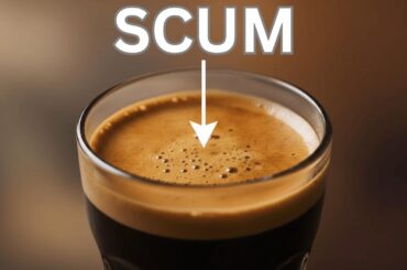 They Called it “Coffee Scum”—Now We Pay $7 For It