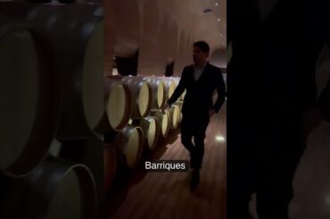 Antinori calls you🤭@m_b_ita #marchesiantinori #winery #italy #visit