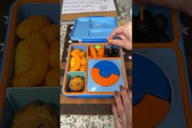 Italian food & dinosaur facts - let’s pack lunch! #schoollunch #lunchideas #italianfood #dinosaurs