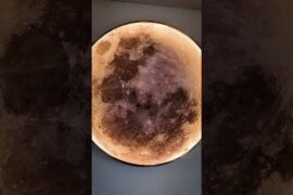 For Sale: Luxurious Fully Furnished Smart Home in South Forbes, Tokyo Mansion, Silang Cavite