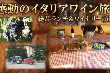 ワイン好きの聖地へ。イタリア銘醸地のワイナリーで楽しむ、奇跡の絶品ランチ＆飲み比べが幸せすぎる