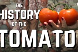 The Wild Story of Tomatoes: From "Poison Apple" to Pizza Sauce