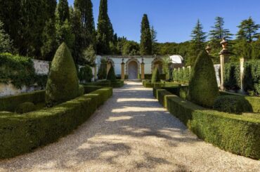 Torre a Cona Wine Estate, Rignano sull'Arno, Italy | Travel With Divya