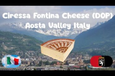Ciressa Fontina Cheese (DOP) Aosta Valley (Italy)