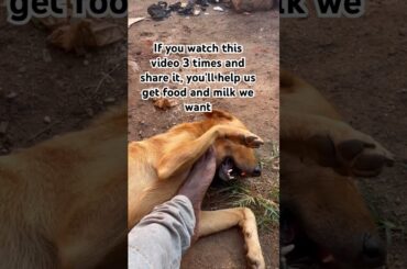 #food tmilk #rent #usa #uk  ##norway, #australia  #newyork  #england #italy #spain  #germany