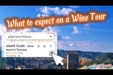 Is a Wine Tour worth your time?