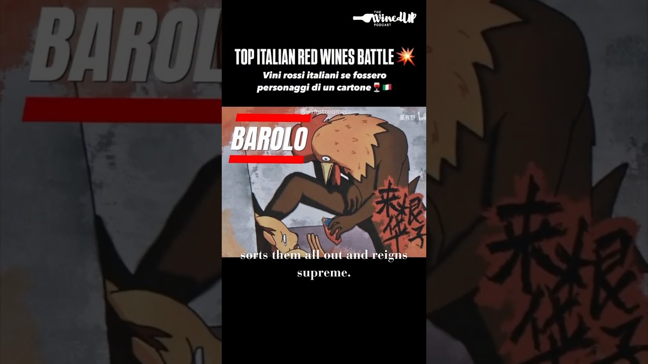 Barolo vs Bordeaux: Is Barolo Really the King of Red Wine? Barolo vs Bordeaux: Is Barolo Really the King of Red Wine?