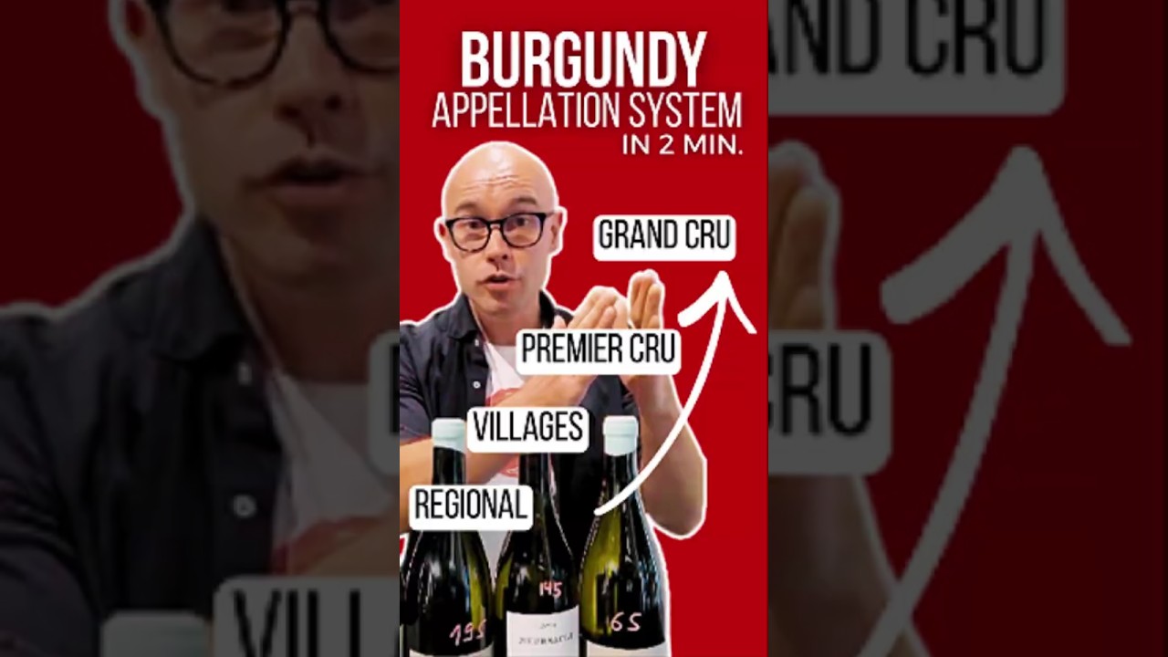Burgundy’s Appellations Explained in 2 minutes (Bourgogne to Grand Cru) #wine #wset Burgundy’s Appellations Explained in 2 minutes (Bourgogne to Grand Cru) #wine #wset