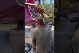 Red Passion ❤️🔥🍷 #food #family #foodie #italy #wine