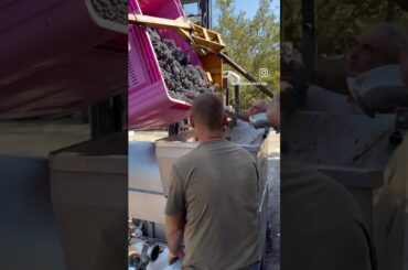 Red Passion ❤️🔥🍷 #food #family #foodie #italy #wine