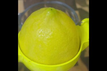 Limone al gelato 🇮🇹🍋