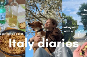 Life in Italy 🤌🏻🇮🇹 trip to Sardegna, local food and olive harvest