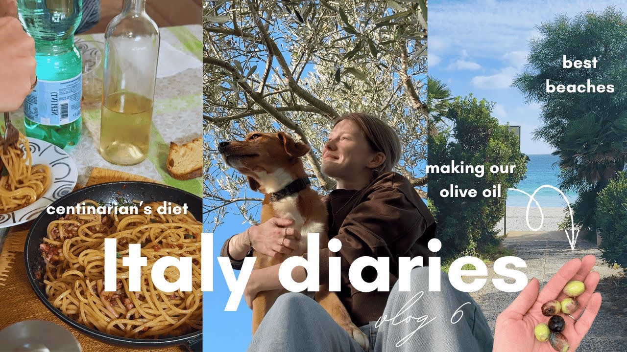 Life in Italy 🤌🏻🇮🇹 trip to Sardegna, local food and olive harvest Life in Italy 🤌🏻🇮🇹 trip to Sardegna, local food and olive harvest