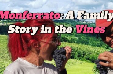 Wine Tasting and Winery Visit near Asti and Turin | Things to do around Asti