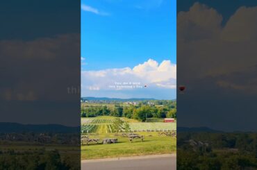 This isn’t Italy but, wine make it feel like it ❄️🍷