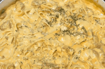 Creamy chicken Alfredo pasta