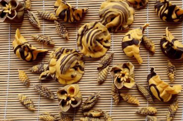 Turmeric and cocoa ravioli stuffed with red onion, beans, and zucchini 🌿🌱