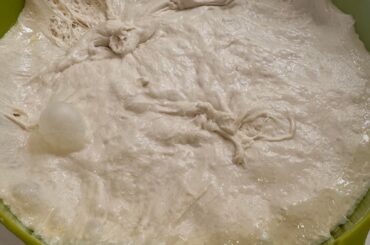 New to this life….