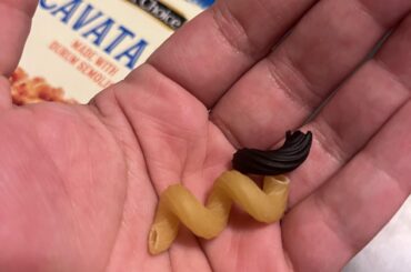 Why is this pasta black?