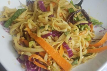 Homemade noodles with slaw & spicy peanut sauce