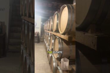 Wine tasting is a must do activity when visiting Tuscany, Italy