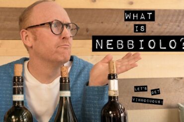 Nebbiolo Wine 101: What It Is? + Taste & Regions Guide | Let's Get Vinnocuous! Ep 1