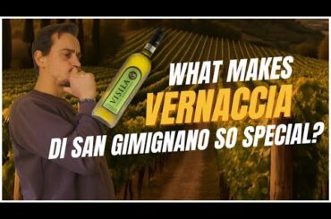 Vernaccia di San Gimignano: the soul of tuscan white wine