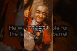 Small Man, Great Responsibility: Perkeo of Heidelberg #history #art #shorts