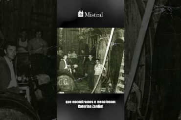 RIPASSO OU AMARONE? O SEGREDO DA CAMPAGNOLA