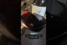 Oreno Toscana 2020 Italian Red Wine $80! #wine #review #winelover #italy #sommelier #wow #love