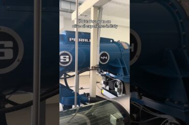 Olive oil tasting is one of the many things you can do in Tuscany, Italy