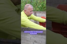 Winery Visit in Arezzo [Italy Travel 2026]