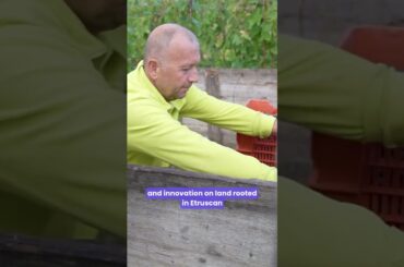 Winery Visit in Arezzo [Italy Travel 2026]