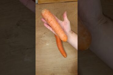 Die größte Möhre, in Lasagne