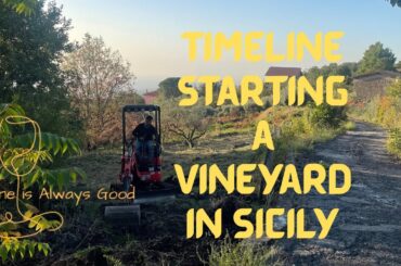 90 Days in Sicily: Starting A Vineyard Timeline - E102
