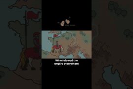 Rome, Caesar, and the Spread of Wine 🍷 #ancientwine #history #winehistory #corkdorks