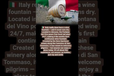 #DailyUpdates#DayInTheLife#DailyVibes#DailyMotivation#DailyRoutine#EverydayMagic#DailyLife