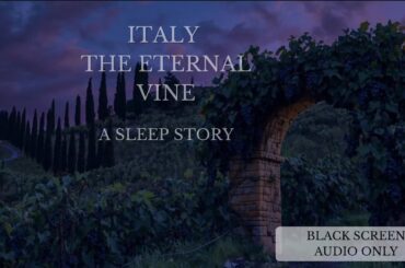The Ancient Vines of Italy: A Sleep Story of Wine History (Black Screen)