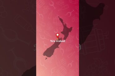 The LVMH Wine Portfolio 🤯🍾