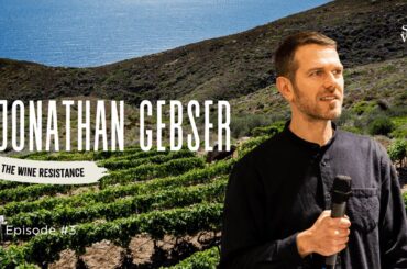 Slow Wine Explained: How a Movement Fought Industrial Wine