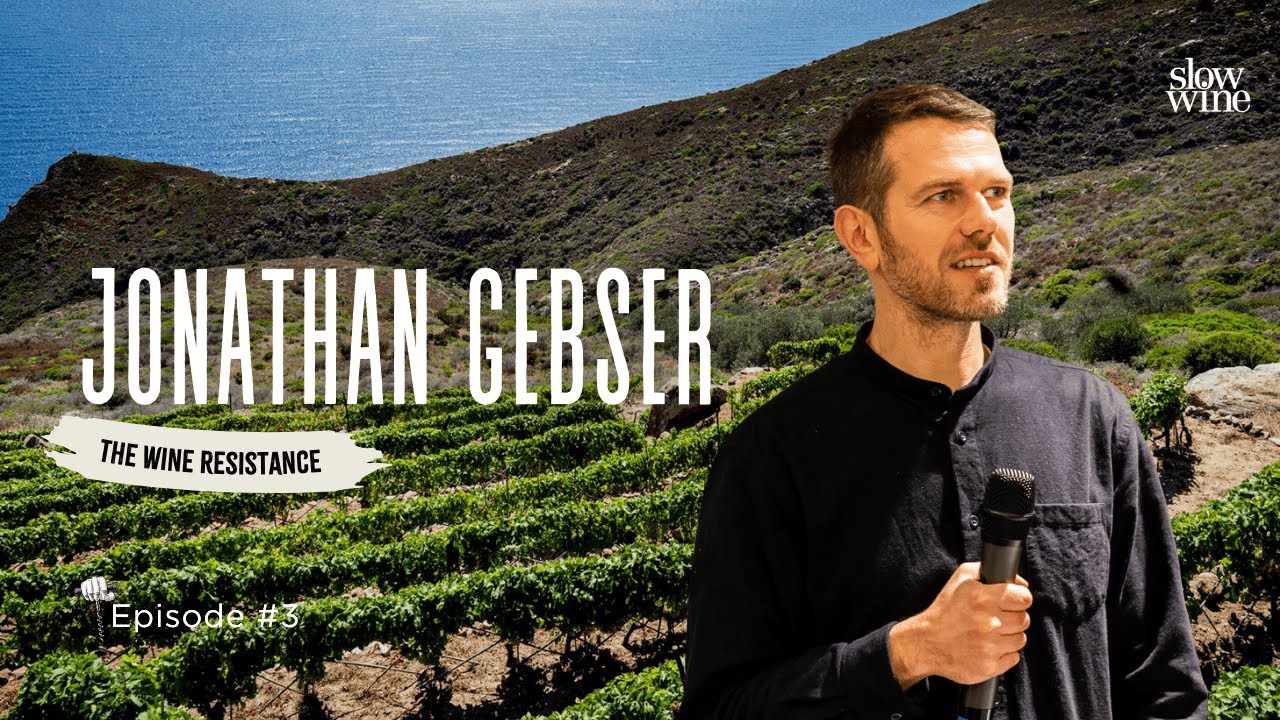 Slow Wine Explained: How a Movement Fought Industrial Wine Slow Wine Explained: How a Movement Fought Industrial Wine