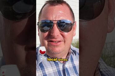 BEST Pizza in Santa Barbara Wine Country #pizza #food #foodie